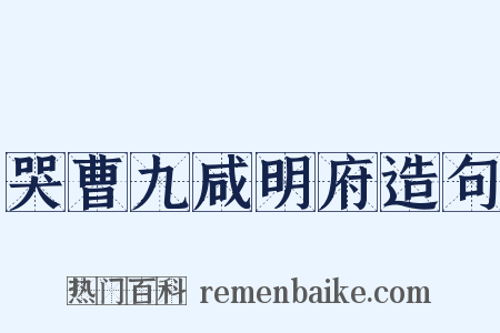 哭曹九咸明府造句是什么意思的图片